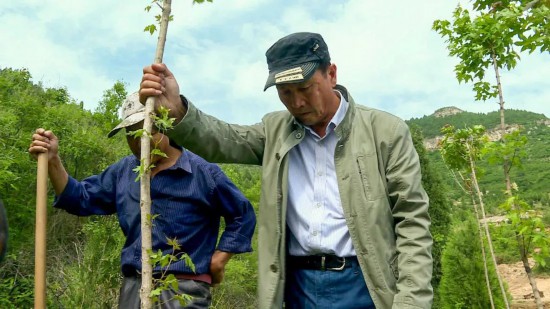 南宫282023六五环境日丨我的环保故事：石头缝里种出花果山(图1)