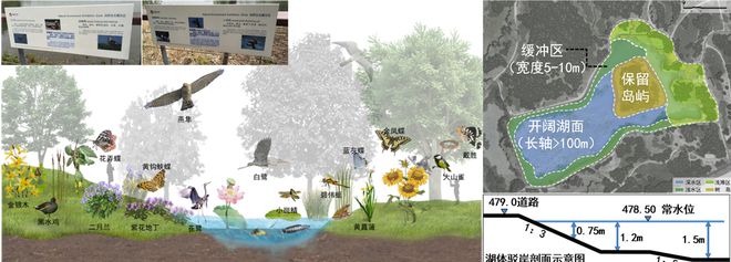 南宫NG28官网风景园林与旅游类 2019北京世园会自然生态展示区园林景观工程设(图5)