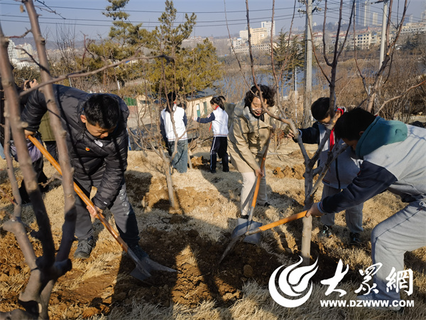 南宫28烟台市局园林建设养护中心组织开展义务植树活动