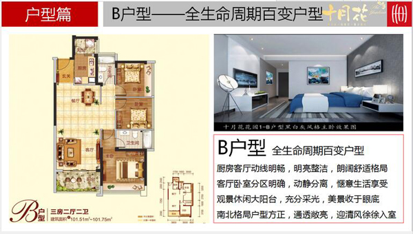 南宫NG28官网华远十月花价格表(图5)