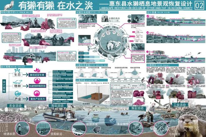 南宫NG28官网银奖作品 水獭水獭 · 在水之涘——基于惠东县水獭栖息地景观恢复(图2)