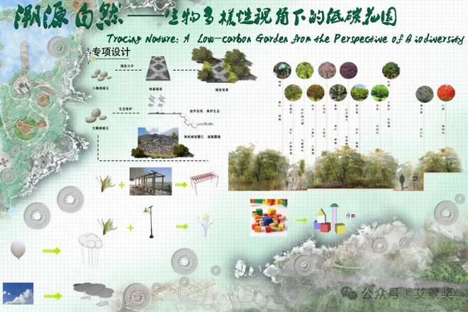 南宫NG28官网获奖作品 溯源自然——生物多样性视角下的低碳花园(图3)