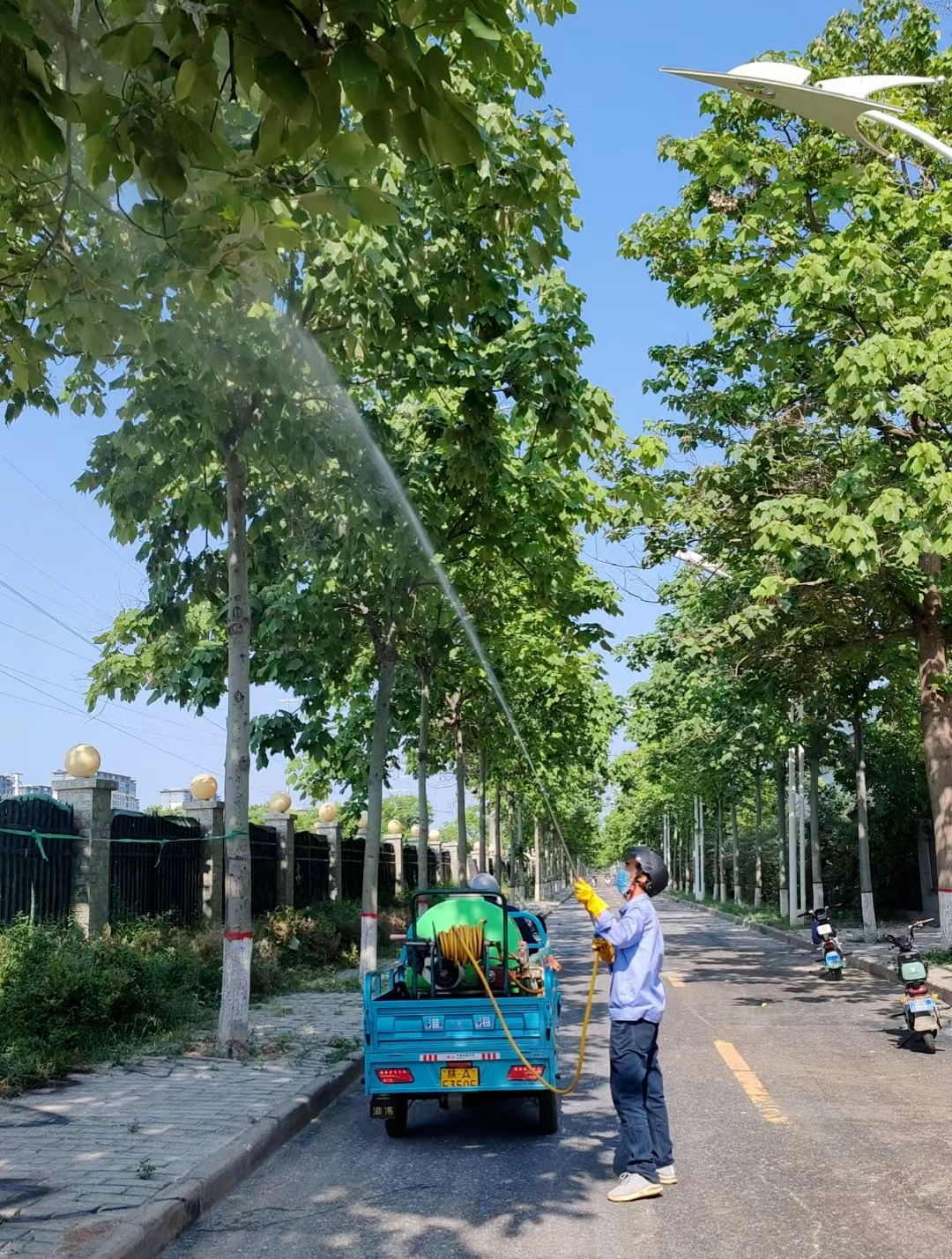 南宫NG28官网西安部门加大城市园林养护力度 打造绿色宜居城市环境(图1)